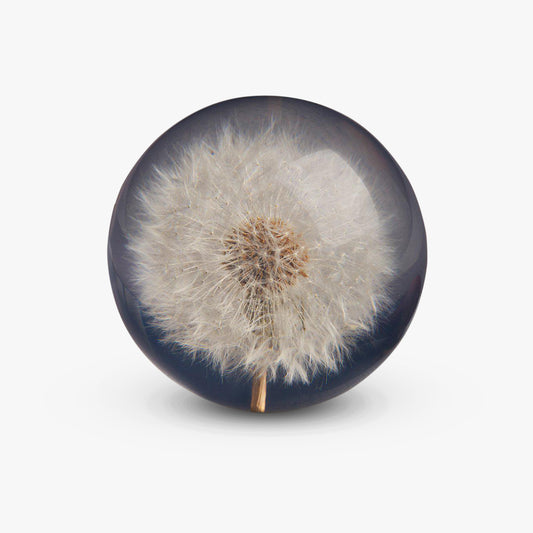 Hafod Grange Dandelion Paperweight